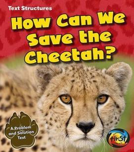 How Can We Save The Cheetah?