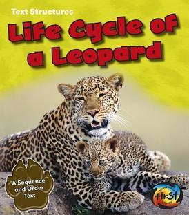 Life Cycle Of A Leopard
